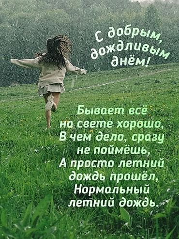 саженцы малин: Саженцы Ежемалина неколючая. Ежевика колючая — 3