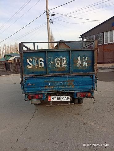 хара: Сатам | Бука (эркек) | Бордоп семиртүү үчүн | Асыл тукумдуу — 10