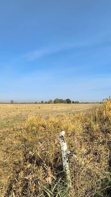 раздольный ак жол: 2200 соток — 1