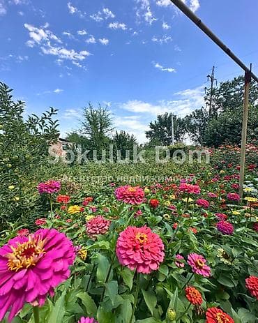 Недвижимость: 🏠Продается дом в г. Шопоков 🟡Комнаты: 5 🟡 Участок: 8 соток 🟡Отопление — 5