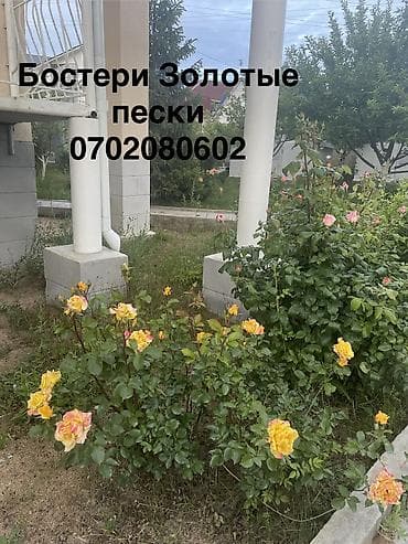 каркасные дома: Гостевой дом на Иссык-Куле, Золотые пески, Бостери, 10+ мест, Посуточно — 6