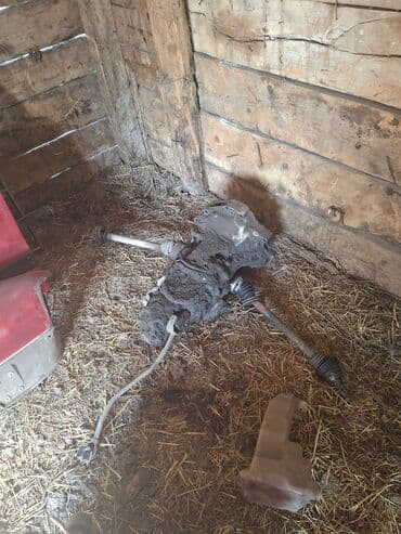 шины бу бишкек оптом: Audi 80: 1990 г., 1.8 л, Механика, Бензиновая, Седан — 9