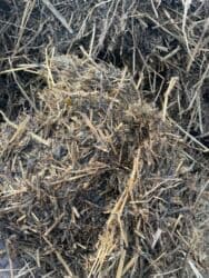 наполнитель для животных: Продаю, Сенаж Силос мелкого дробление, с зерноми грузим трактором — 6