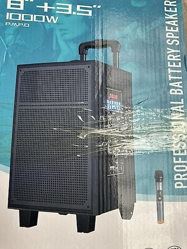 Портативная аккумуляторная акустическая система SSRJ SS-3101 Основные — 7
