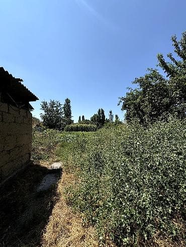 12 соток — 2