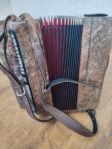 чехол для аккордеона: Продаю аккордеон — 4