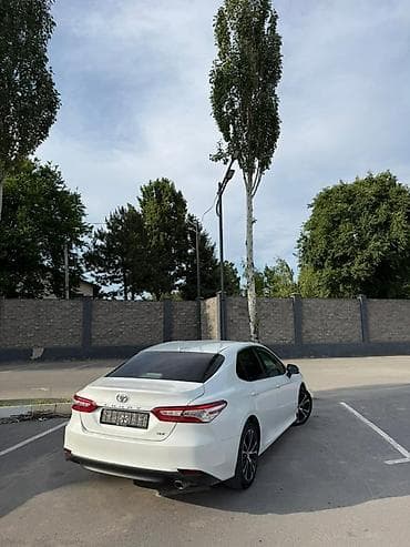 решетка на тойота ипсум: Toyota Camry: 2020 г., 2.5 л, Автомат, Бензин, Седан — 3