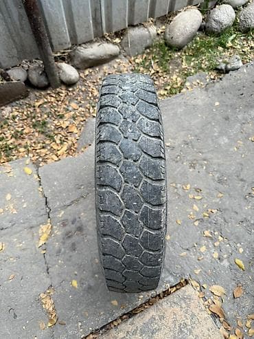 Донголок портерге