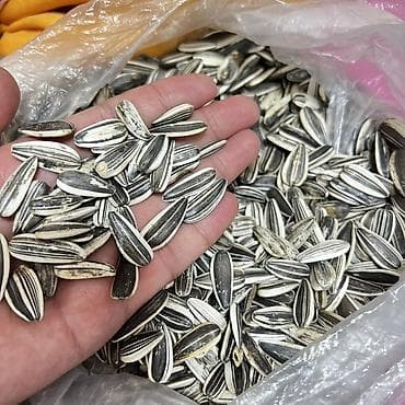 Сухофрукты, орехи, снеки: Семечки подсолнечника, крупные, полосатые (конфеты/кондитерский сорт) — 2