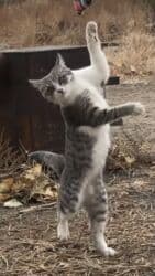 меняю на дом: Девочка — 1