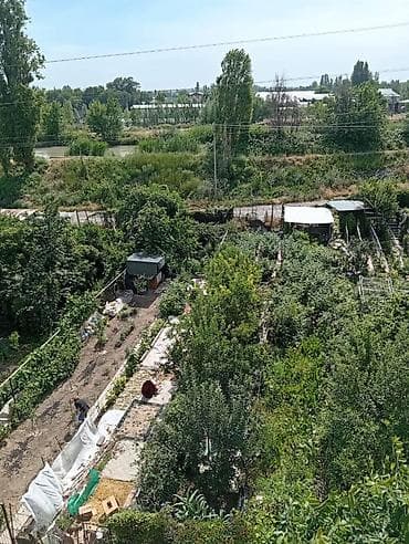 Квартиры: 3 комнаты, 56 м², Индивидуалка, 5 этаж, Старый ремонт — 9
