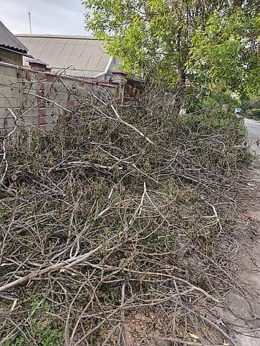 угловой компьютерный стол с надстройкой: Дрова — 5
