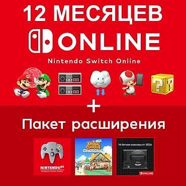 nintendo ds xl: 🎮 Nintendo Switch Online — подключение под ключ (личная и семейная — 1