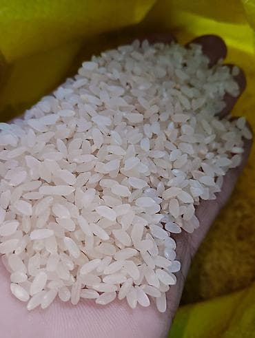 поставщики куриного мяса: Аланга высший сорт без размешка оптом по 100 сом. а также есть — 5