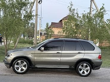 BMW X5: 2004 г., 4.4 л, Автомат, Бензин, Кроссовер — 3