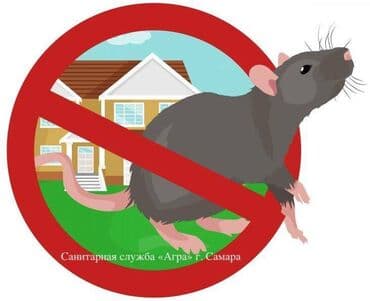 дезинфекция дома от клопов ош: Дезинфекция, дезинсекция, | Блохи, Вирусы, микробы, Клопы, | Дома, Кафе, магазины, Квартиры — 1