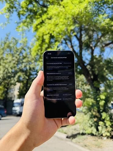 Торг уместен! IPhone 15 Pro, 256 гб титановый корпус (Natural — 2