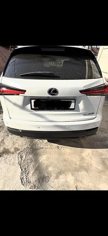 bvd e2: Lexus NX: 2019 г., 2 л, Автомат, Бензин, Кроссовер — 9
