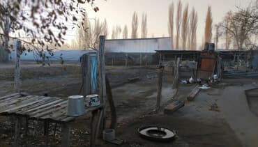 продаю дом рабочий гарадок: Дом, 1900 м², 4 комнаты, Собственник, Старый ремонт — 3