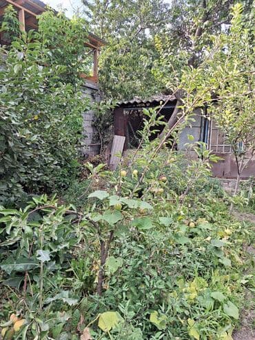 продаю дом г ош: Үй, 65 кв. м, 4 бөлмө, Риелтор, Косметикалык оңдоо — 27