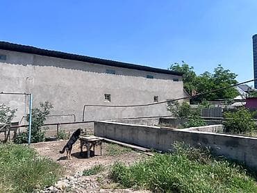 участок 4 гор больница: 4 соток, Красная книга — 2