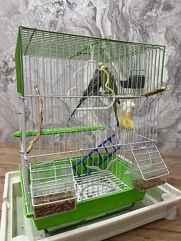 клетка для попугая ferplast: Волнистые попугайчики с комплектом клетки и аксессуарами. Состав — 1