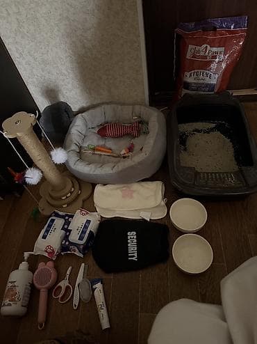 Животные: Набор для кота,кошки,котят сюда входит лежанка мягкая серенькая лоток — 1
