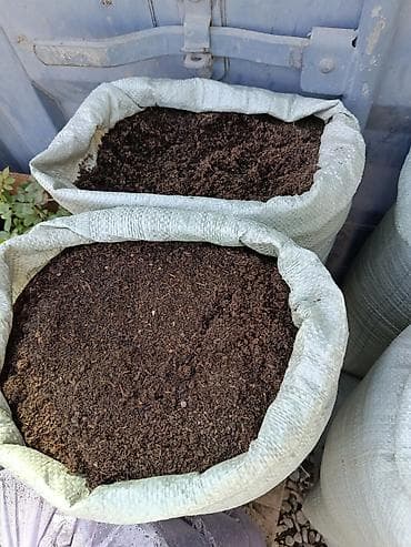 тай базар: Межоктолгон кара топуран .биогумыз. гулдорго топрак,кык бары бар 250 — 1