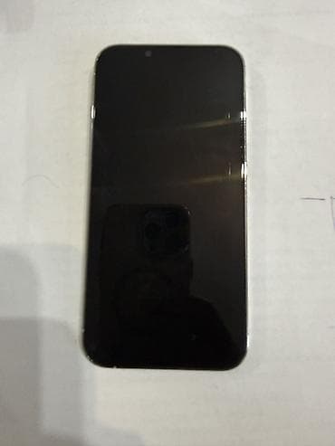 IPhone 13 Pro, 256 ГБ, Белый, Чехол, 79 % — 2