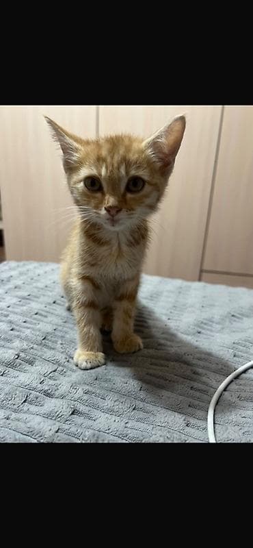 1 месяц, Девочка