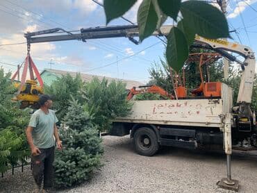 капсульные дома бишкек цена: Кран кант длина стрелы: 7.2 метра грузоп. стрелы: 2.8 тонны борт: 6 — 17