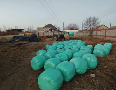 мышык бишкек: Силос в герметичных рулонах - Заготовка в рулонах, упакованных в — 2