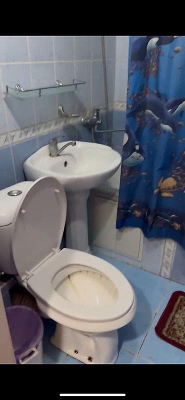 радуга квартиры: 1 комната, Без подселения — 4