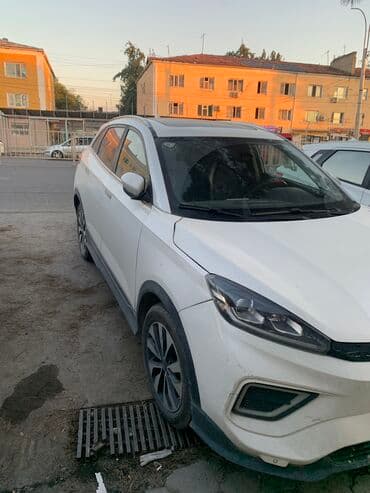 полик нексия 2: Weltmeister EX5, 2020 г., Передний, На заказ — 2