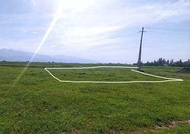 земельный участок иссык куль: 6 соток, Для сельского хозяйства, Красная книга, Тех паспорт — 4