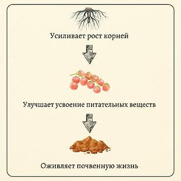 биог: Удобрение Платная доставка — 3