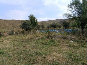 продажа домов в токмаке: Дом, 60 м², 4 комнаты, Собственник, Косметический ремонт — 19