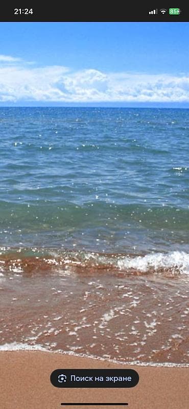 воост: 76 соток — 1