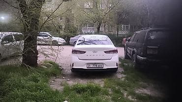 shevrole volt: Hyundai Sonata: 2019 г., 0.2 л, Автомат, Газ, Седан — 6