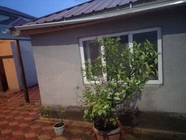 продаю дом арча бешике: Дом, 62 м², 5 комнат, Собственник, Евроремонт — 4