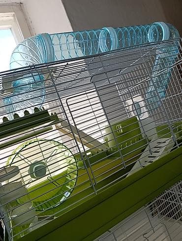 купить террариум: Клетка для хомяков/мелких грызунов с комплектом аксессуаров — 2