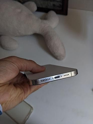 12 iphone mini: IPhone 12 Pro Max, Б/у, 128 ГБ, Чехол, Кабель, 81 % — 7