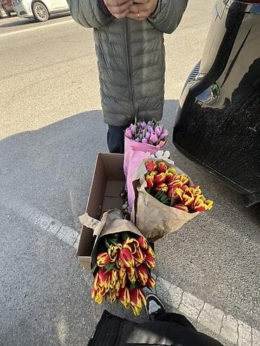 для праздника: Тюльпаны срезанные — яркие весенние букеты. - Ассортимент — 1