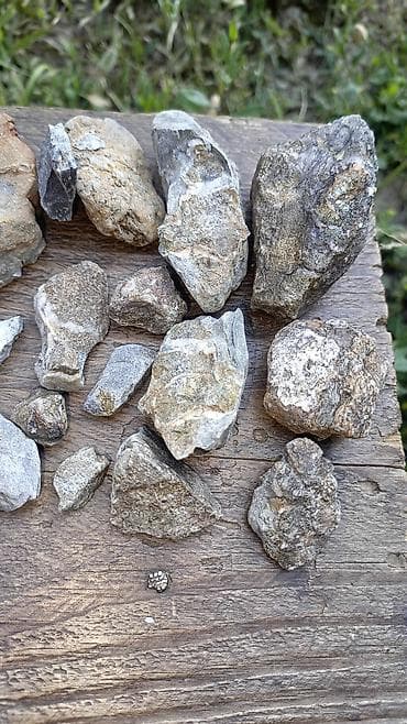 бай кол фото: Коллекция образцов горных пород и минерализованных жил. Состав и — 5