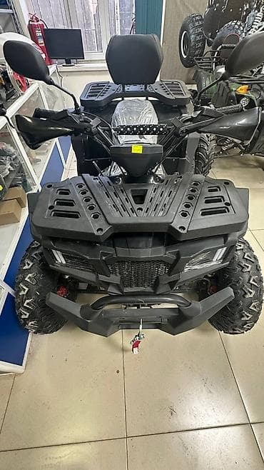 обмен на квадроцикл: Квадроциклы для бездорожья — утилитарные и туристические модели — 9