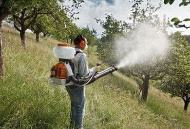 травля муравьев: Сад, участок, деревья, обработка против вредителей, клещей, черепашки — 2