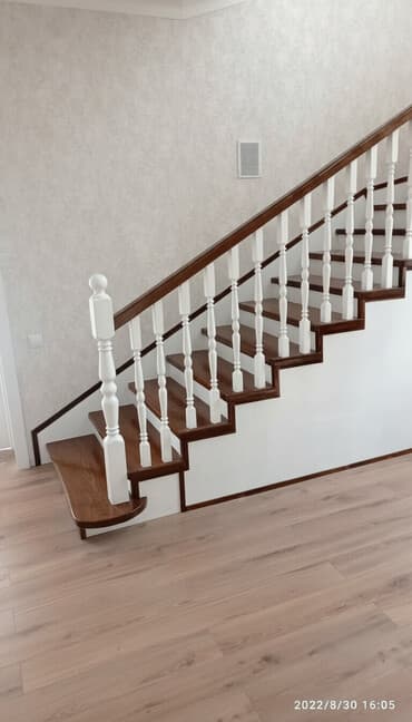 комнатные цветы в бишкеке: Обшивка лестниц — 1