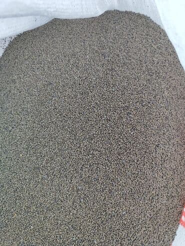 чернозем в мешках бишкек: Семена кормовых растений: Люцерна, Самовывоз — 5