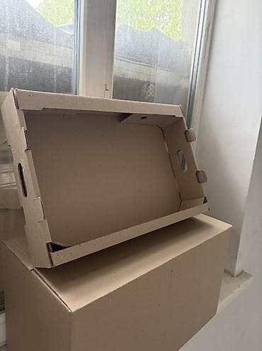 пластиковый ящик для овощей: Коробка, 45 см x 30 см x 15 см — 2