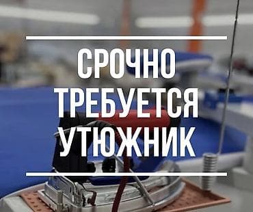 Гладильщик, Платья, Район: Шлагбаум, Оплата: Еженедельно, График работы: Шестидневка, Опыт работы: Более 5 лет опыта, Мужчина